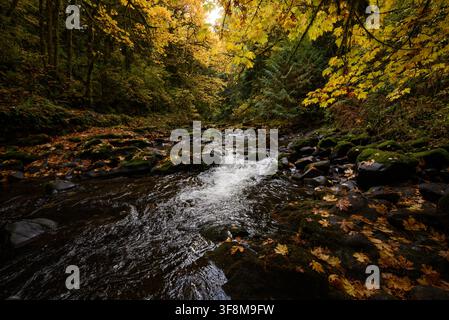 Cedar Creek Washington during the fall. Stock Photo