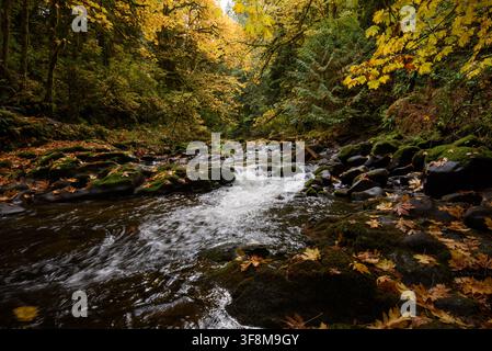 Cedar Creek Washington during the fall. Stock Photo