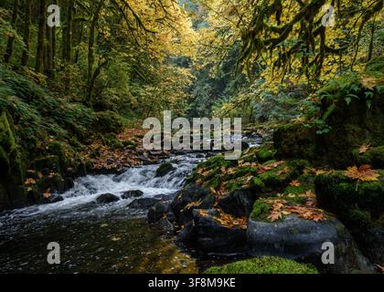 Cedar Creek Washington during the fall. Stock Photo