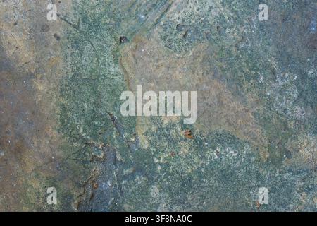 Close up background of an old weathered concrete floor with cracks, moss, and stains. Stock Photo