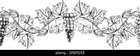 A seamless border featuring grape clusters and branches. Perfect for menus, wine lists, labels, packaging, beverage advertising, winery websites Stock Vector