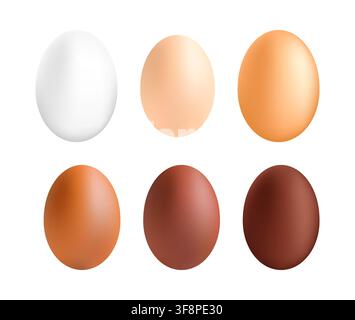 Chicken eggs showcasing diverse colors and shell tones Stock Vector