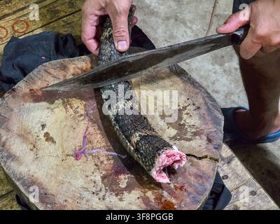 A butchered snake tail on wooden cutting board being sliced with large knife, bloody preparation and rustic kitchen scene with hands handling reptile Stock Photo