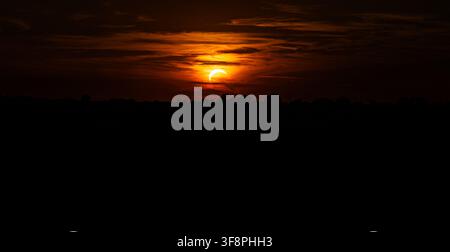 Partial solar eclipse visible in a warm orange sky behind a dark tree silhouette. The crescent sun shines through thin clouds during a celestial astro Stock Photo