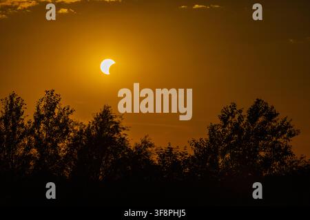 Partial solar eclipse visible in a warm orange sky behind a dark tree silhouette. The crescent sun shines through thin clouds during a celestial astro Stock Photo