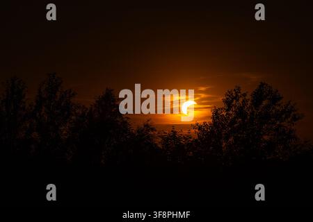Partial solar eclipse visible in a warm orange sky behind a dark tree silhouette. The crescent sun shines through thin clouds during a celestial astro Stock Photo
