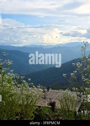 A wildflower meadow overlooking layered blue mountain ridges under dramatic cloudy sky, peaceful summer landscape with distant peaks and rustic roofto Stock Photo
