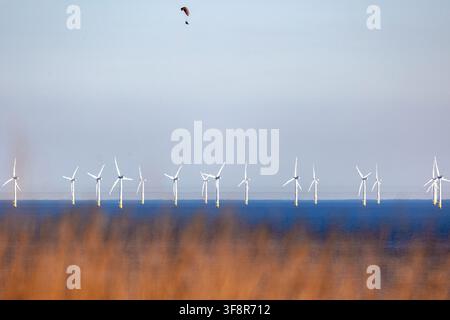 A person on a powered paragllider flies over the Rampion Wind Farm off the shore at Worthing during the Partial solar eclipse on 12th August 2026 Stock Photo