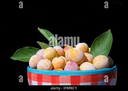Mirabelle plums, freshly picked, in a red-and-white checkered bowl, close-up Stock Photo