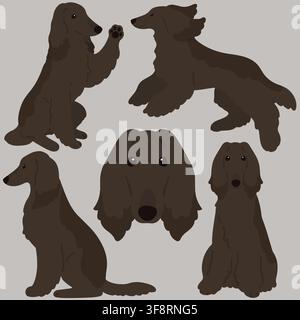Simple and adorable dark colored flat colored Afghan Hound illustrations Stock Vector