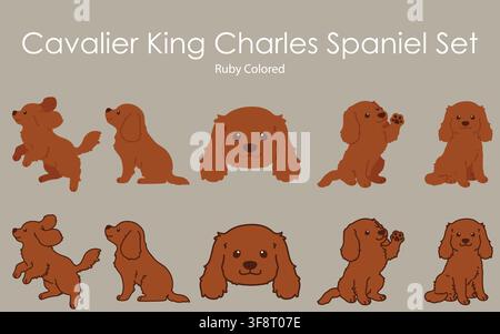 Simple and cute ruby colored Cavalier King Charles Spaniel illustrations set Stock Vector