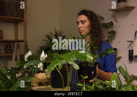 African non-binary worker tending peace lily in black nursery pot at wooden table, wearing apron Stock Photo