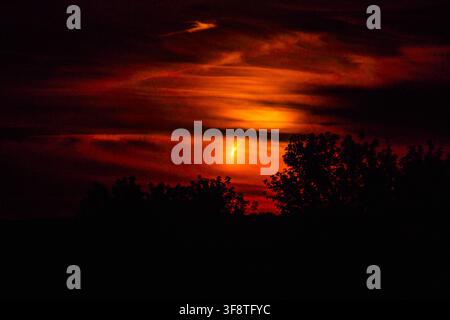 Partial solar eclipse descending behind dramatic orange and red clouds above silhouetted trees in Lithuania, creating an intense fiery summer sky. Stock Photo