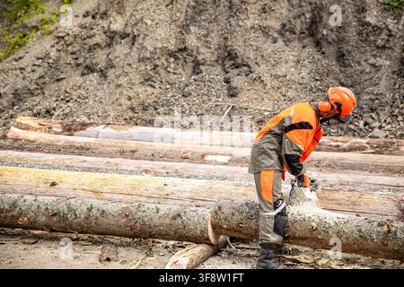 Male tree surgeon sawing tree trunk using chainsaw in forest. Arborist cutting a tree a chainsaw. Lumberjack logger worker in protective gear cutting Stock Photo