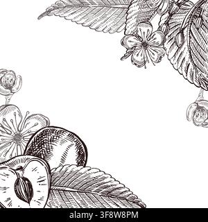 A vector frame made of cherry branches with leaves, flowers and cherry slices with space for text. Everything is hand-drawn in ink. The illustration Stock Vector