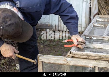 An elderly worker meticulously restores an old glass window frame using hand tools in an outdoor workshop setting, highlighting manual labor, practica Stock Photo