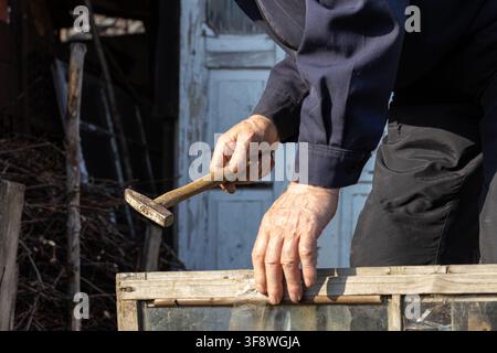 Close-up of hands holding a metal tool for maintenance on a weathered timber sash, highlighting the skill, focus, and dedication required for home imp Stock Photo