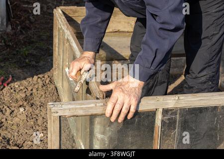 Close view of hands holding a tool while constructing a glass garden bed frame, highlighting the practical maintenance work involved in seasonal farmi Stock Photo