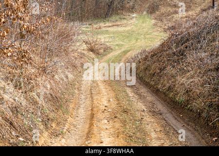 Unpaved path curves uphill across a barren rural terrain, where earthy textures and muted colors suggest a peaceful journey through the untamed outdoo Stock Photo