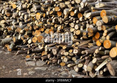 Stacked logs of chopped wood create a rustic outdoor wall, illustrating harvesting practices and traditional fuel supply for heating systems in a cold Stock Photo