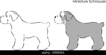 Miniature Schnauzer side view standing Stock Vector