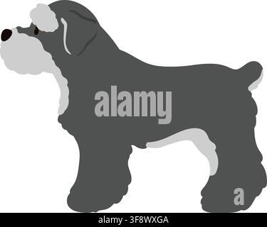 Miniature Schnauzer side view standing flat colored Stock Vector