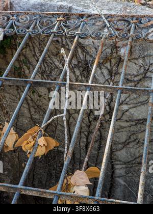 Dry autumn leaves rest on a rusty wrought iron grate. The background shows a stone wall covered in green vines. This scene captures the essence of fal Stock Photo