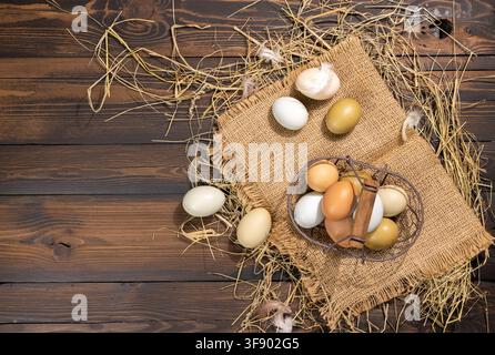 Various colorful farm eggs are gathered in a wire basket and scattered on burlap and straw, placed on a dark wooden background, representing fresh, he Stock Photo