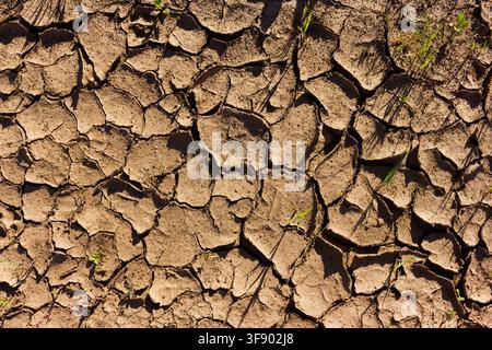 Parched clay ground featuring a detailed network of deep cracks and sun-baked earth textures, creating an intricate geometric pattern across the dried Stock Photo