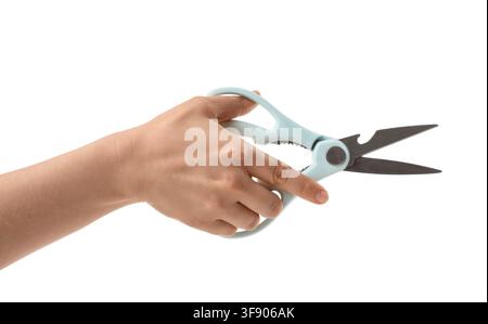Hand holding light blue kitchen shears with black blades, multi-purpose cooking tool for food preparation, isolated on white background Stock Photo
