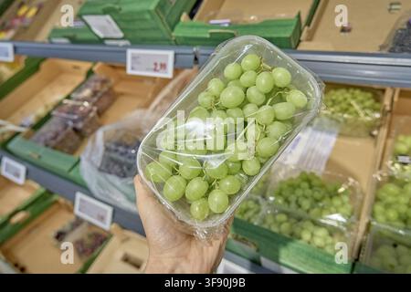 Packaging with green grapes on supermarket shelf, held by one hand, fruit rack, buy fresh fruit in the supermarket, buy at discount store, Lidl, Germa Stock Photo