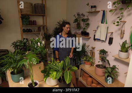 Non-binary shop worker tending potted plants near terracotta pots on wooden tables in striped apron Stock Photo