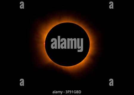 Golden solar corona and red solar prominences during the total solar eclipse, seen from Vega del Codorno, Cuenca, on August 12, 2026. Stock Photo
