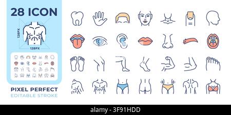 Body parts pixel perfect line color icons set Stock Vector