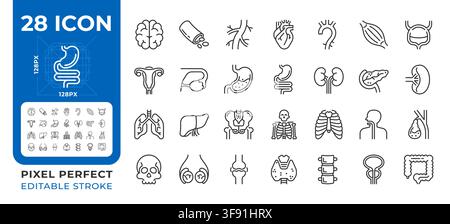 Human organs pixel perfect line icons set Stock Vector