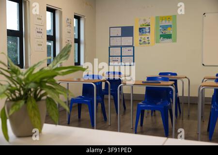 Blue plastic chairs sitting with wood-topped desks in classroom, posters on wall, plant Stock Photo