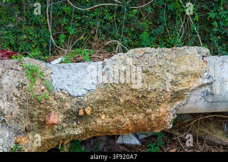 Crumbling concrete wall with green vines in background. Stock Photo