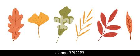 Set of six colorful autumn leaves in different shapes and shades. Seasonal botanical illustration perfect for fall design Stock Vector
