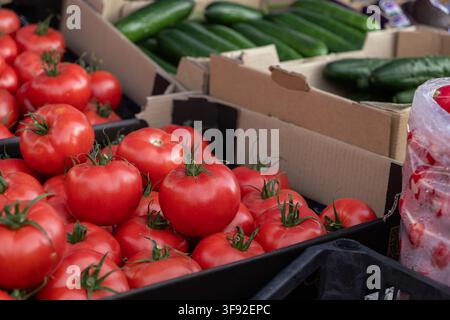 Close view of vibrant tomatoes and cucumbers arranged in shipping containers at a food marketplace, emphasizing the quality of organic vegetables for Stock Photo