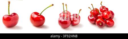 Pair of Fresh Sweet Red Cherries Attached with Stems Stock Photo