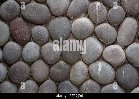 Close-up texture background of a river pebble wall featuring smooth, rounded stones of various sizes embedded in cement. The natural grey and earthy Stock Photo