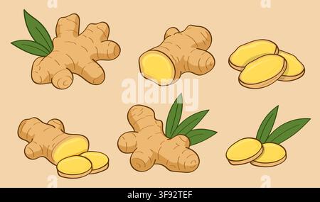 Hand drawn ginger root and sliced ginger collection with green leaves in a cute flat vector illustration style. Stock Vector