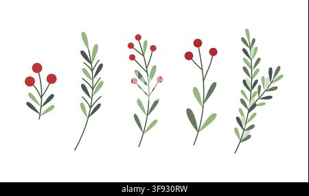 Christmas branch vector set winter berry floral twig element collection template design Stock Vector
