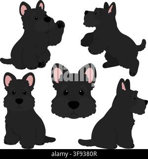 Simple and adorable black Scottish Terrier illustrations flat colored Stock Vector
