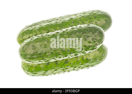 Cucumbers on stark white background, arranged in depth order with vibrant green color and natural texture, minimalistic composition, bright even light Stock Photo