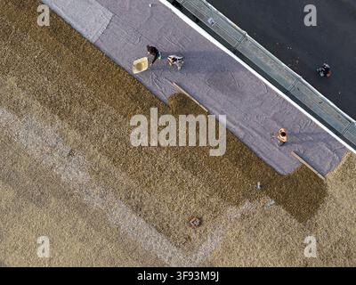 Belgrade, Serbia - 15 November 2025: Aerial view of three workers spreading gravel on a flat rooftop, while a pedestrian walks along the road below. Stock Photo