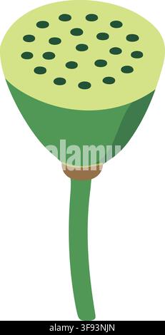 Stylized fresh lotus seed pod illustration with a bright green rounded head many dark seeds Stock Vector
