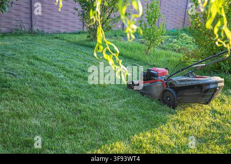 asoline lawn mower standing on freshly cut grass in sunny garden Stock Photo