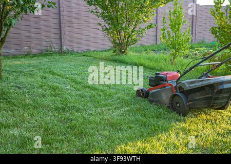 asoline lawn mower standing on freshly cut grass in sunny garden Stock Photo