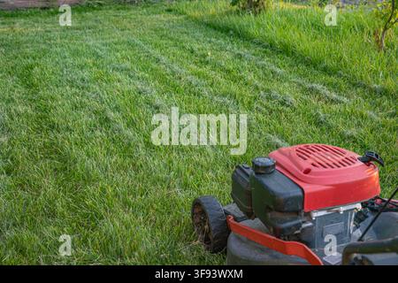 asoline lawn mower standing on freshly cut grass in sunny garden Stock Photo